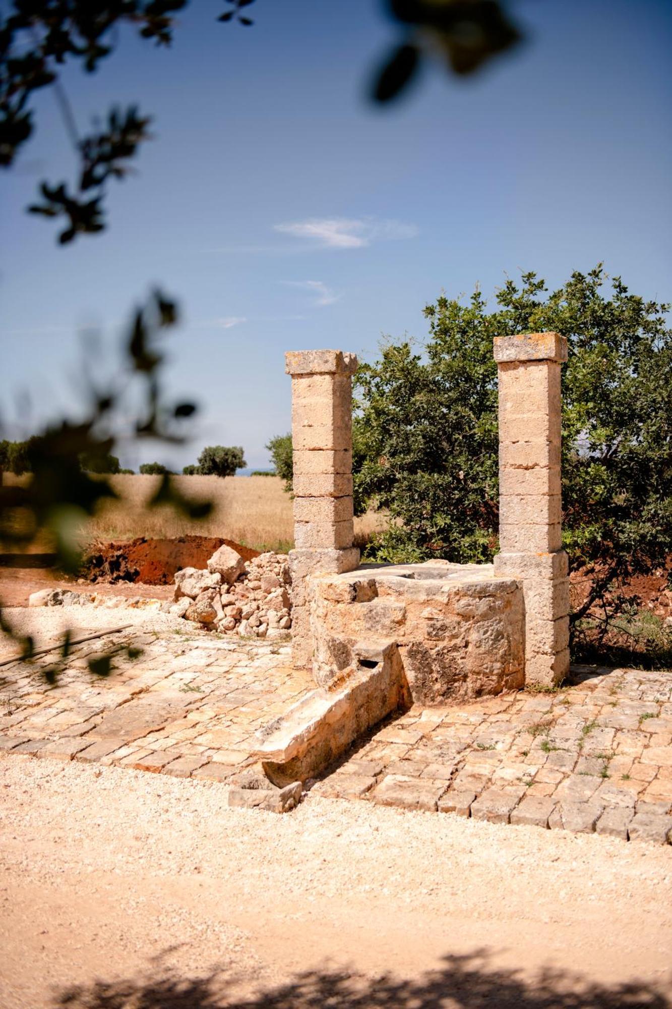 Masseria Auraterrae 滨海波利尼亚诺 外观 照片
