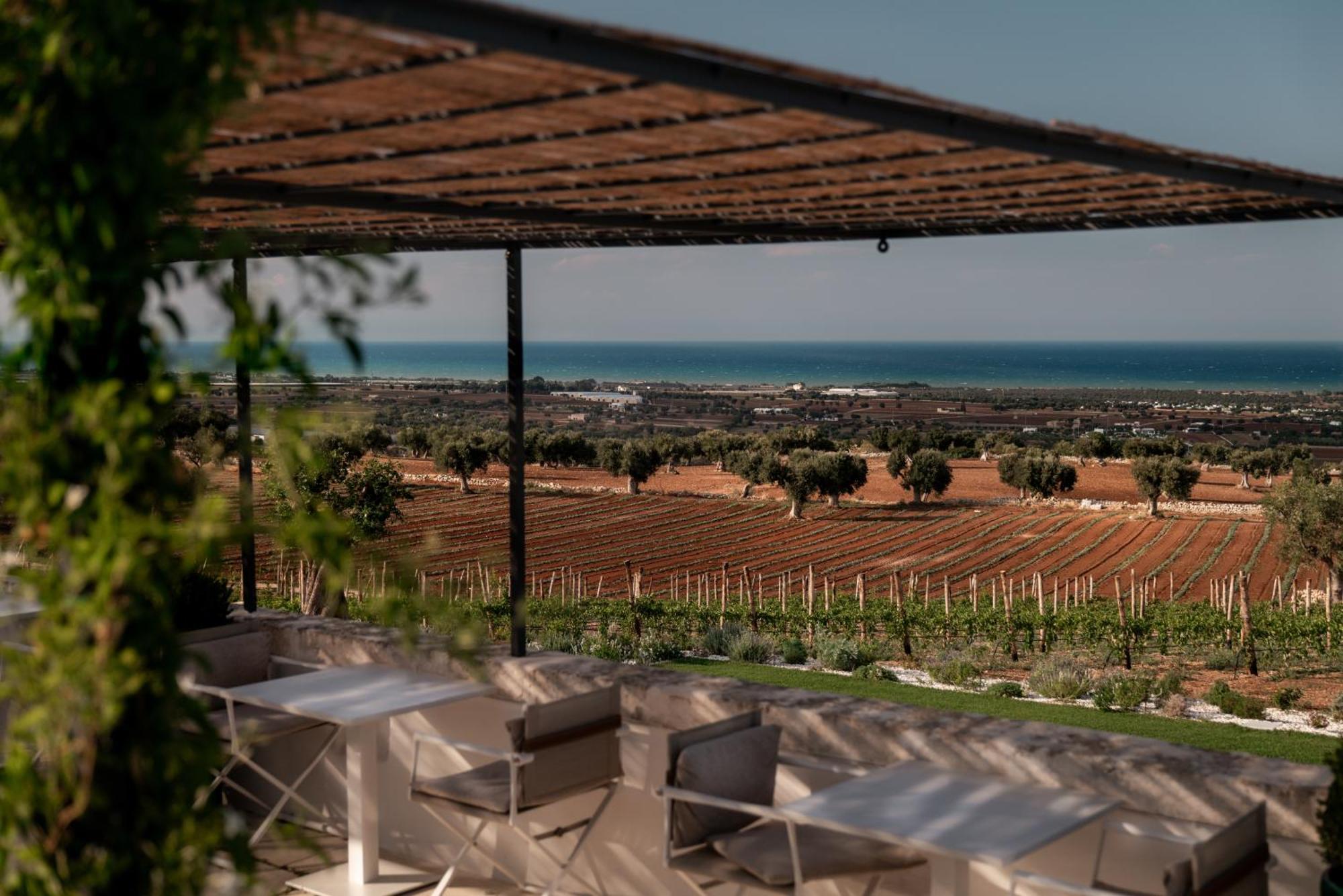 Masseria Auraterrae 滨海波利尼亚诺 外观 照片