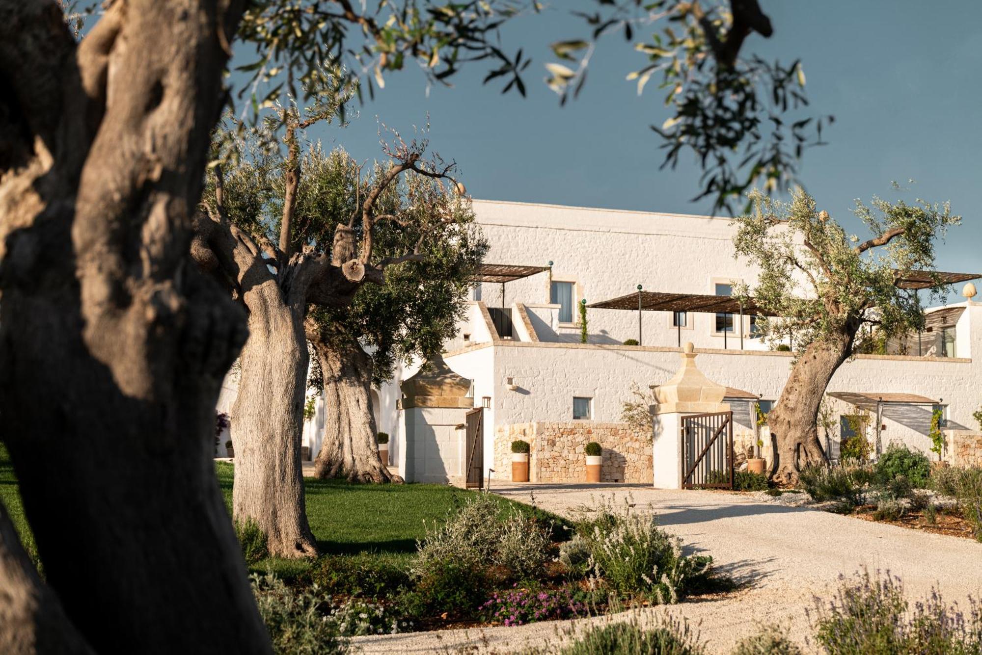 Masseria Auraterrae 滨海波利尼亚诺 外观 照片